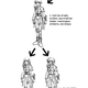 Image for article titled How to Design Characters the Square-Enix Way